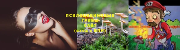 марихуана Приозерск