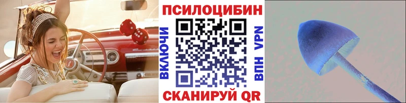 Псилоцибиновые грибы ЛСД Партизанск